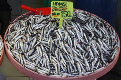 Yalova’da hamsinin kilosu 100 lira düştü! İşte fiyatlar