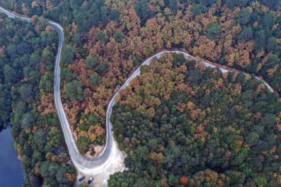 Cumhurbaşkanlığı kararıyla Yalova’da bazı alanlar orman sınırları dışına çıkarıldı