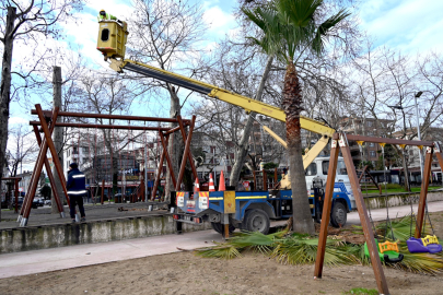 Gazi Paşa Caddesi’nde budama devam ediyor