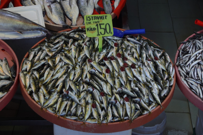 İşte, Yalova’da balık fiyatları