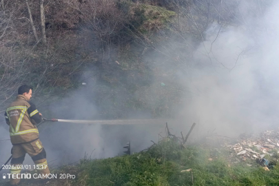 Altınova’da korkutan ormanlık alan yangını