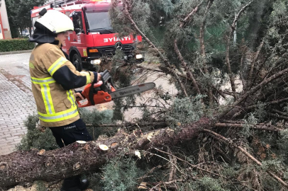 Yalova'da itfaiye şubat ayında yoğun çalıştı