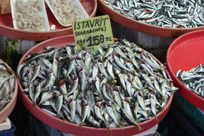 İşte, Yalova’da balık fiyatları