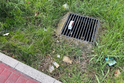 Yalova'da yürüyüş yolunu kirlettiler