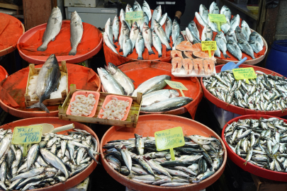 İşte, Yalova’da balık fiyatları