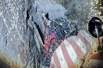 Yalova’da korkutan yangın!