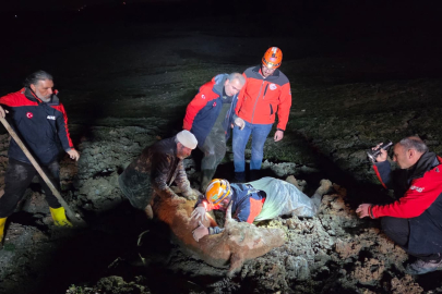 Yalova'da bataklığa saplanan vatandaş ve hayvanı kurtarıldı