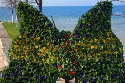 Çınarcık Özgürlük Parkı’nda Kelebek yeniden hayat buldu