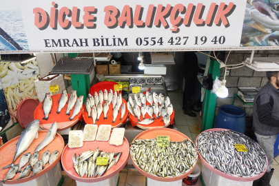 İşte Yalova Balık Pazarı’nda fiyatları