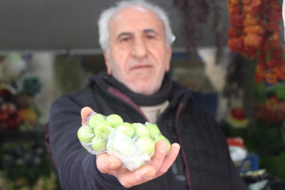 Yalova’da yazın habercisi eriğin kilosu bin 200 liradan satılıyor