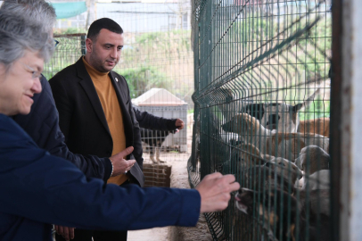 CHP Çiftlikköy sessiz dostlarımızı unutmadı