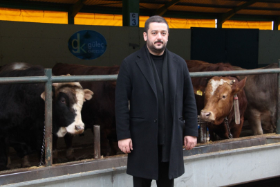 Güleç Kardeşler’de kurbanlık satışları hız kesmeden devam ediyor