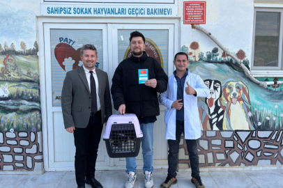 Çiftlikköy’ün can dostları Şanslı’ya sahip çıktı