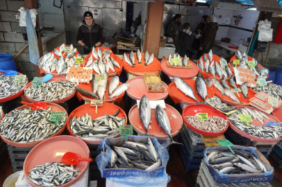 İşte, Yalova’da balık fiyatları