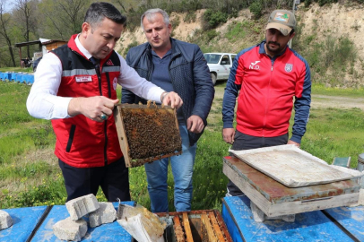 Yalova Tarım ve Orman İl Müdürü Mustafa İlmeç, arıcıları ziyaret etti