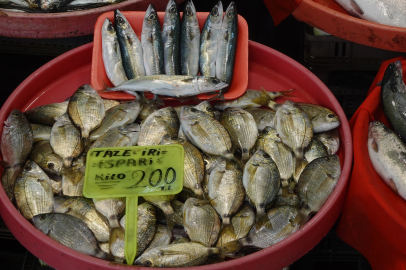 İşte Yalova Balık Pazarı’nda fiyatlar
