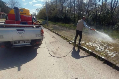Subaşı’nda haşere ve uçkunla mücadele başladı