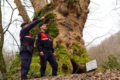 Jandarma Genel Komutanlığı’ndan Yalova paylaşımı