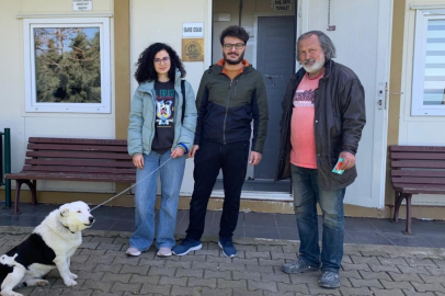Melez köpek yeni yuvasına kavuştu