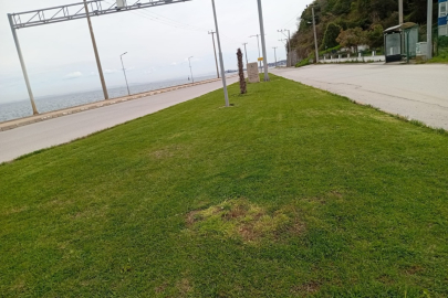 Çınarcık'ta peyzaj ekipleri sahada