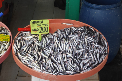 İşte, Yalova’da balık fiyatları