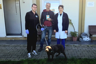 Çınarcık’ta bir can daha sıcak yuvasına kavuştu