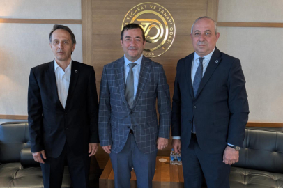 Kivi Festivali için güç birliği