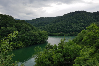 Türkiye’nin en yeşil illeri açıklandı: Yalova kaçıncı sırada?