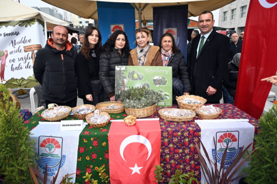 Yalova’nın ata tohumları Türkiye’nin dört bir yanına yayılıyor