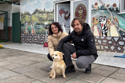 Çiftlikköy’de patili dostlar emin ellerde