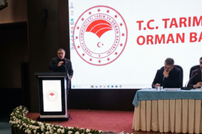 Işılak, Yalovalı kantincilerin sesi oldu