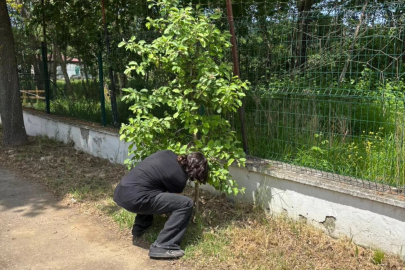 Yalova Güzel Sanatlar Lisesi’nde gelecek için önemli adım