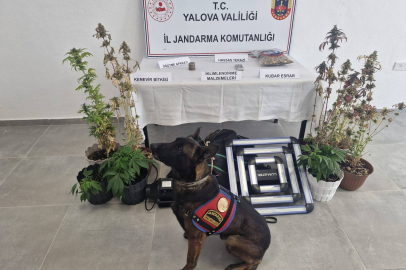 Yalova’da uyuşturucu operasyonu! Evine iklimlendirme sistemi kurmuş