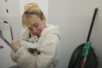Duvar arasına sıkışan yavru kedi operasyonla kurtarıldı