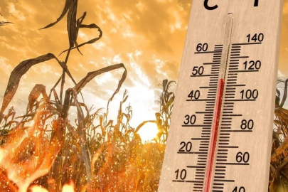 Meteoroloji uzmanları uyardı: Yalova’da hafta sonu sıcaklık artıyor!