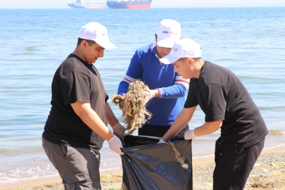 Çiftlikköylüler Marmara Denizi için bir araya geldi