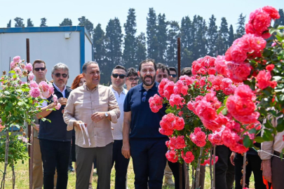 Yalova’da Milli Gül Koleksiyonu tanıtıldı