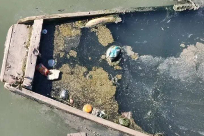 Yalova'nın yanıbaşında müsilaj alarmı