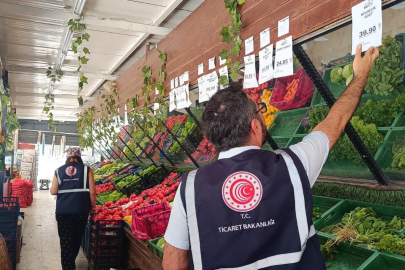 Mayıs ayında 251 firma denetlendi