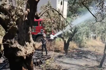 Fıstıklı Köyü’nde yürekleri ağza getiren zeytinlik yangını