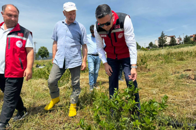İlmeç, aronya üreticilerini sahada ziyaret etti