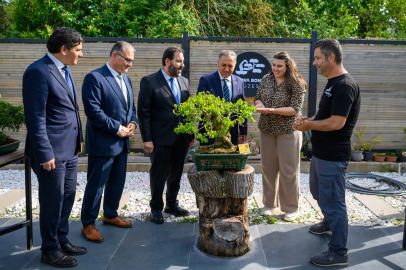 Vali Usta Bonsai Müzesi'nde minyatür dut hasadına katıldı