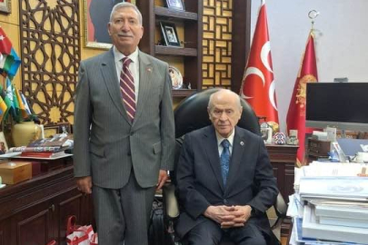 Güldoğan, Bahçeli ile görüştü