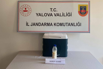 Çiftlikköy’de 500 mililitre akrep zehri yakalandı! 5 milyon dolar değerinde