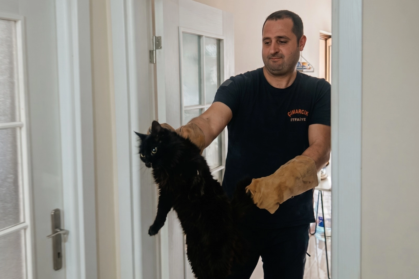 Çınarcık’ta evi giren sokak kedisini itfaiye çıkardı