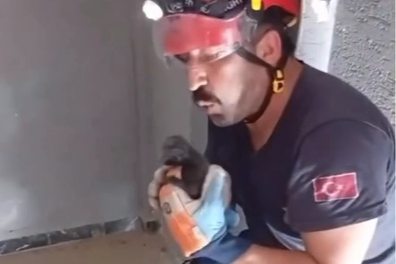 Duvar boşluğunda doğum yapan anne kedi ve yavruları kurtarıldı
