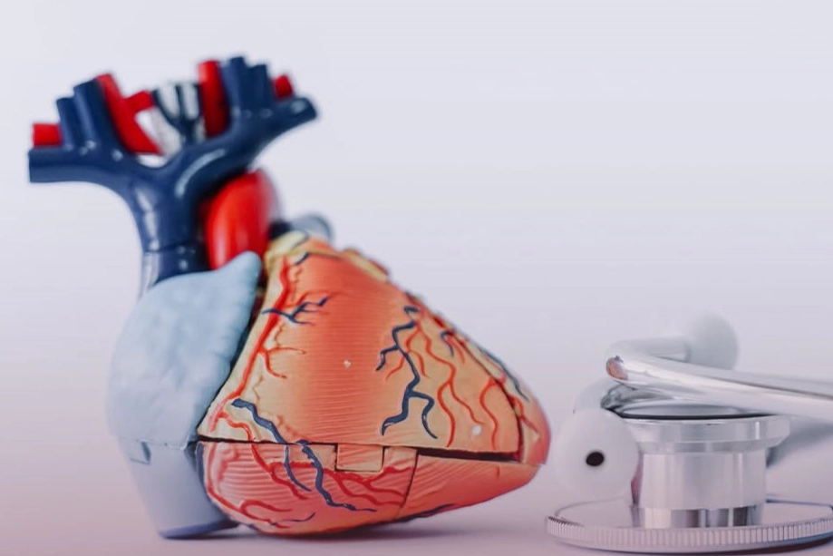 Aktif Hospital Yalova'dan kalp sağlığı için önemli uyarılar