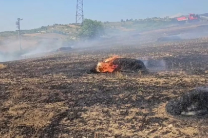 Süpürgelik mevkiinde korkutan arazi yangını