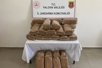 Yalova'da 160 kilogram bandrolsüz tütün ele geçirildi
