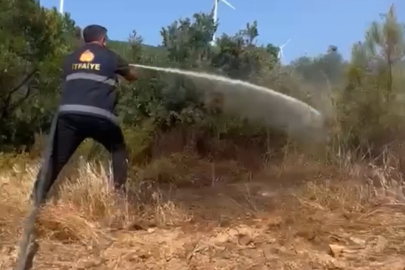 Armutlu’da elektrik direği yangına neden oldu